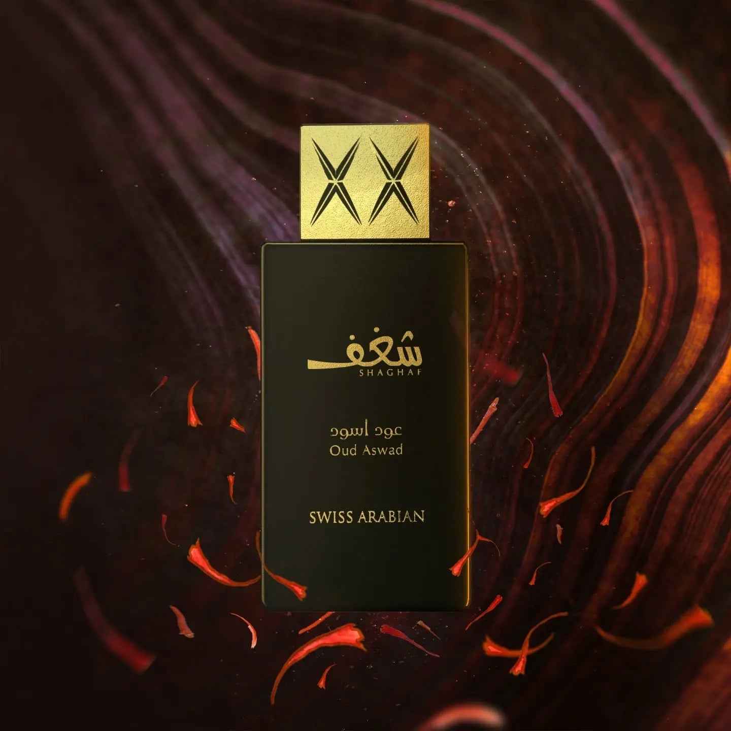 Shaghaf Oud Aswad - vue 3