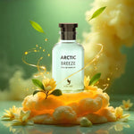 Arctic breeze - vue 3