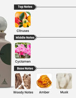 Eternal Musk - vue 4