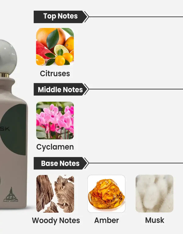 Eternal Musk - vue 4