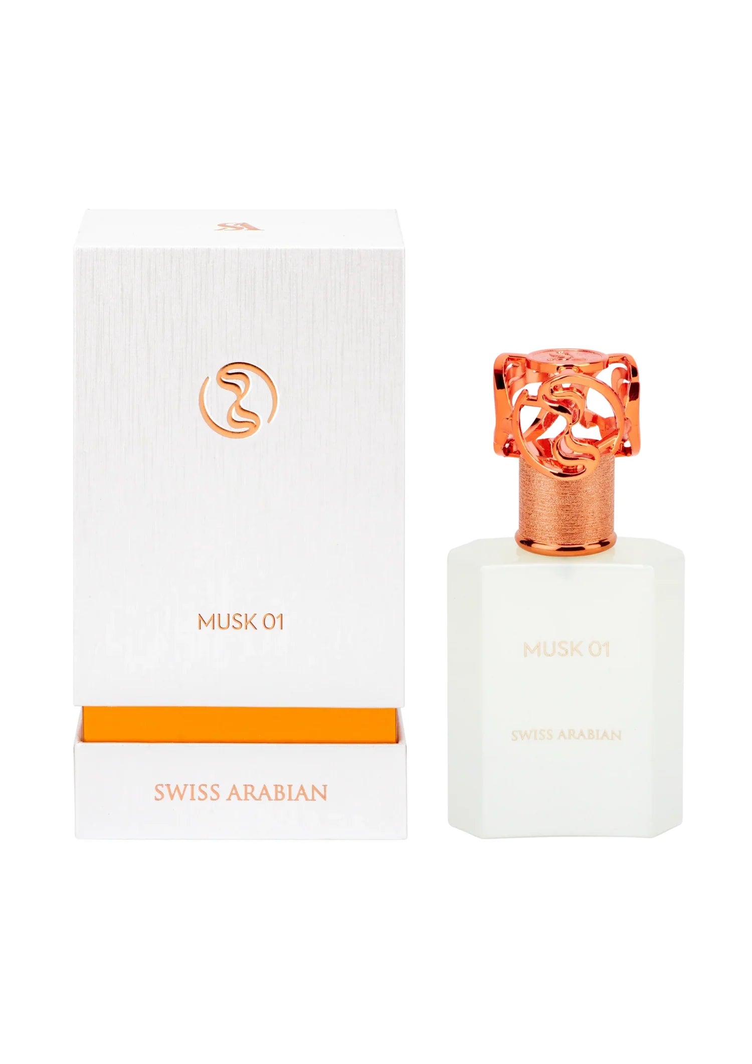 Musk 01 - vue 2