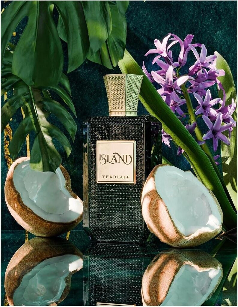 Island - vue 3