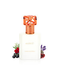 Musk 07 - vue 4