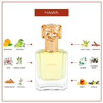 Hawa - vue 3