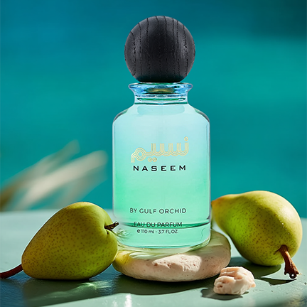 Naseem - vue 4