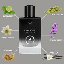 Exquisite Club - vue 4