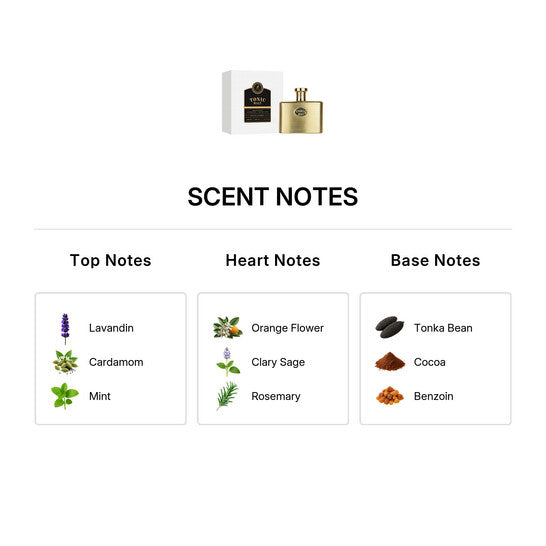 Tonic Malt - vue 3