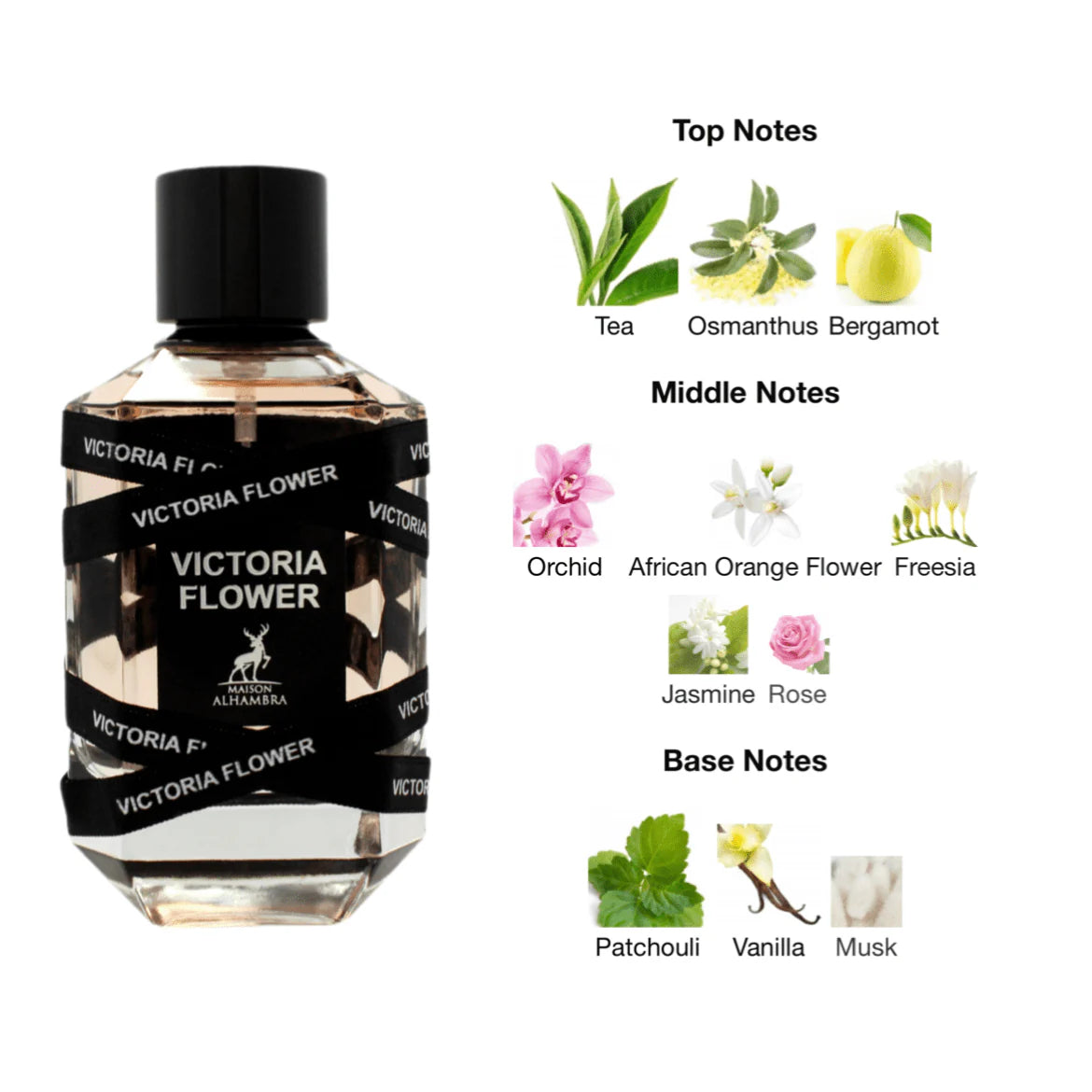 Victoria flower - vue 5